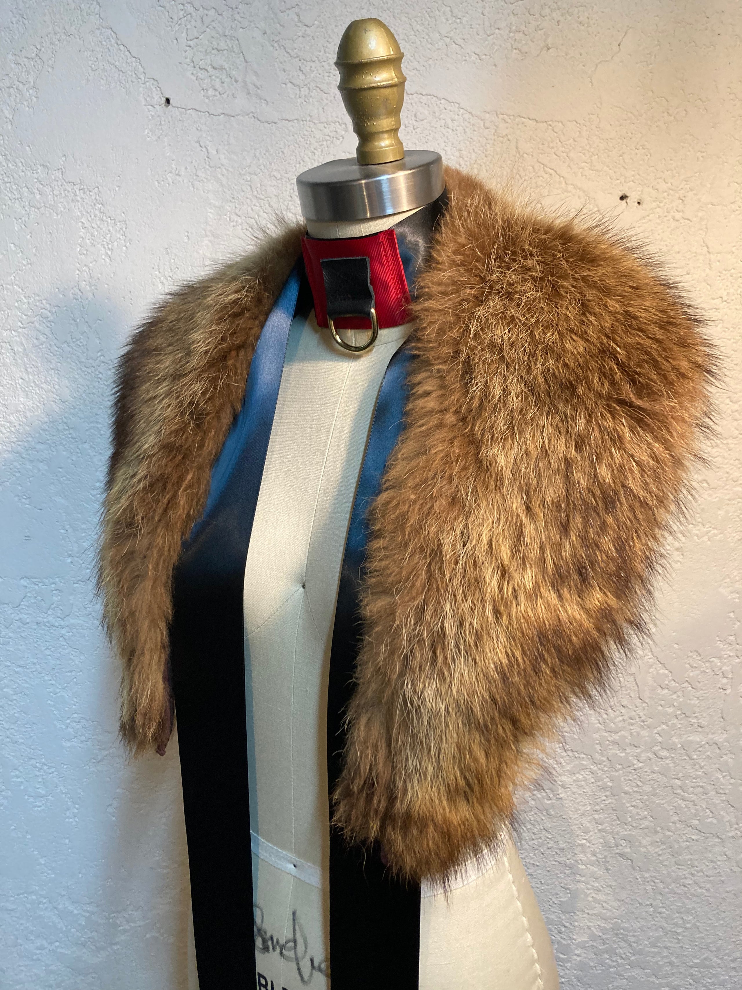 Coyote collar clearance